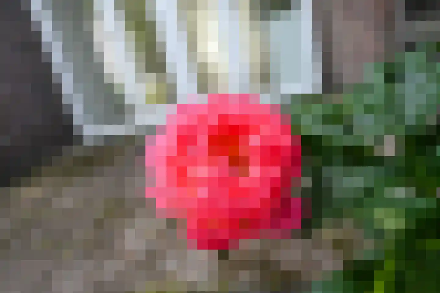 Koningin Wilhelminalaan 441 Voorburg thumbnail 17