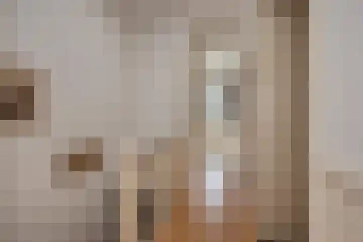 Koningin Wilhelminalaan 455 Voorburg thumbnail 26