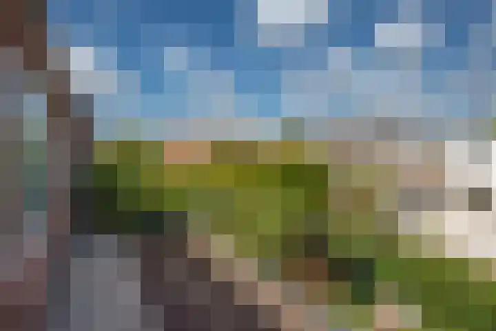 Koningin Wilhelminalaan 455 Voorburg thumbnail 35