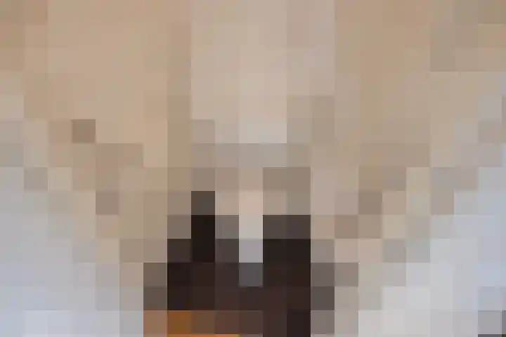 Koningin Wilhelminalaan 455 Voorburg thumbnail 39