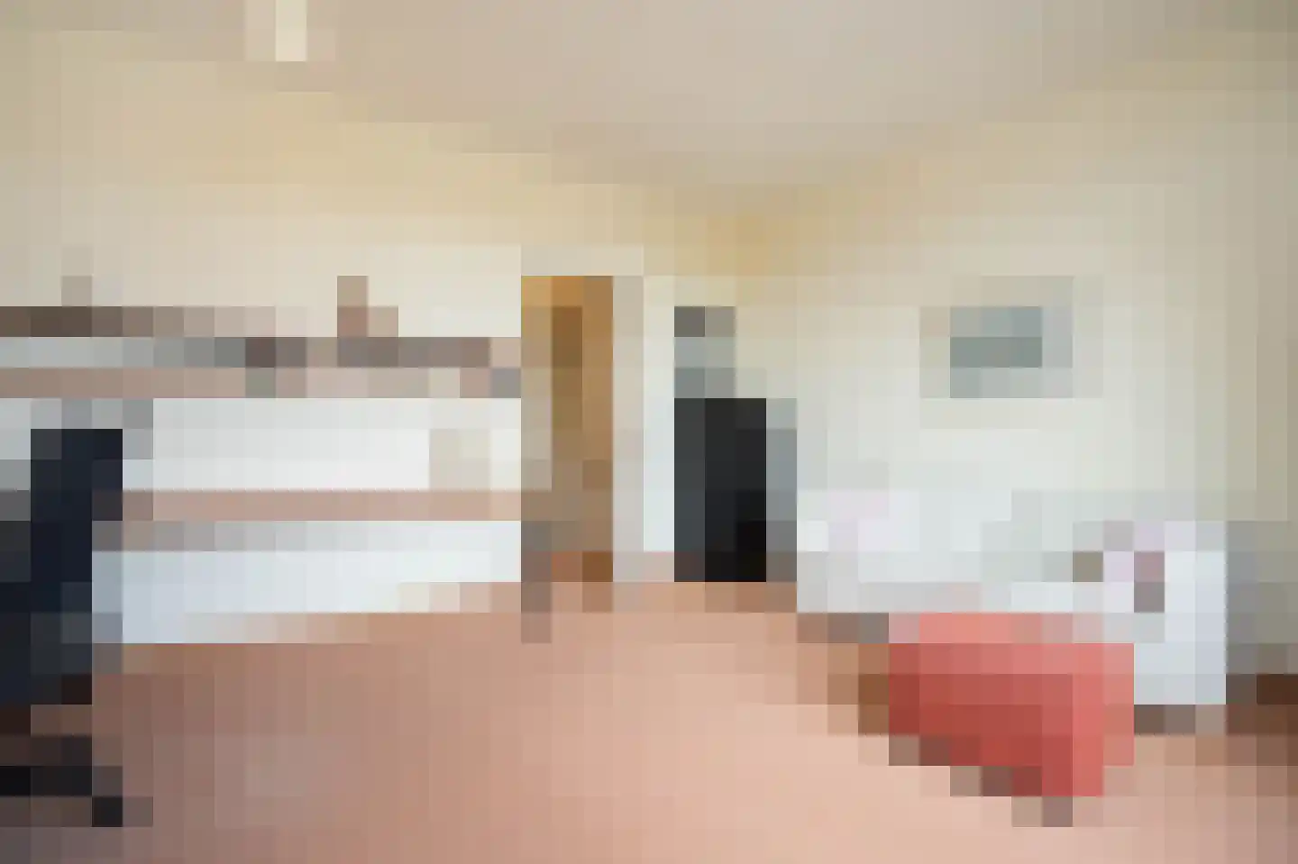 Koningin Wilhelminalaan 462 Voorburg thumbnail 18