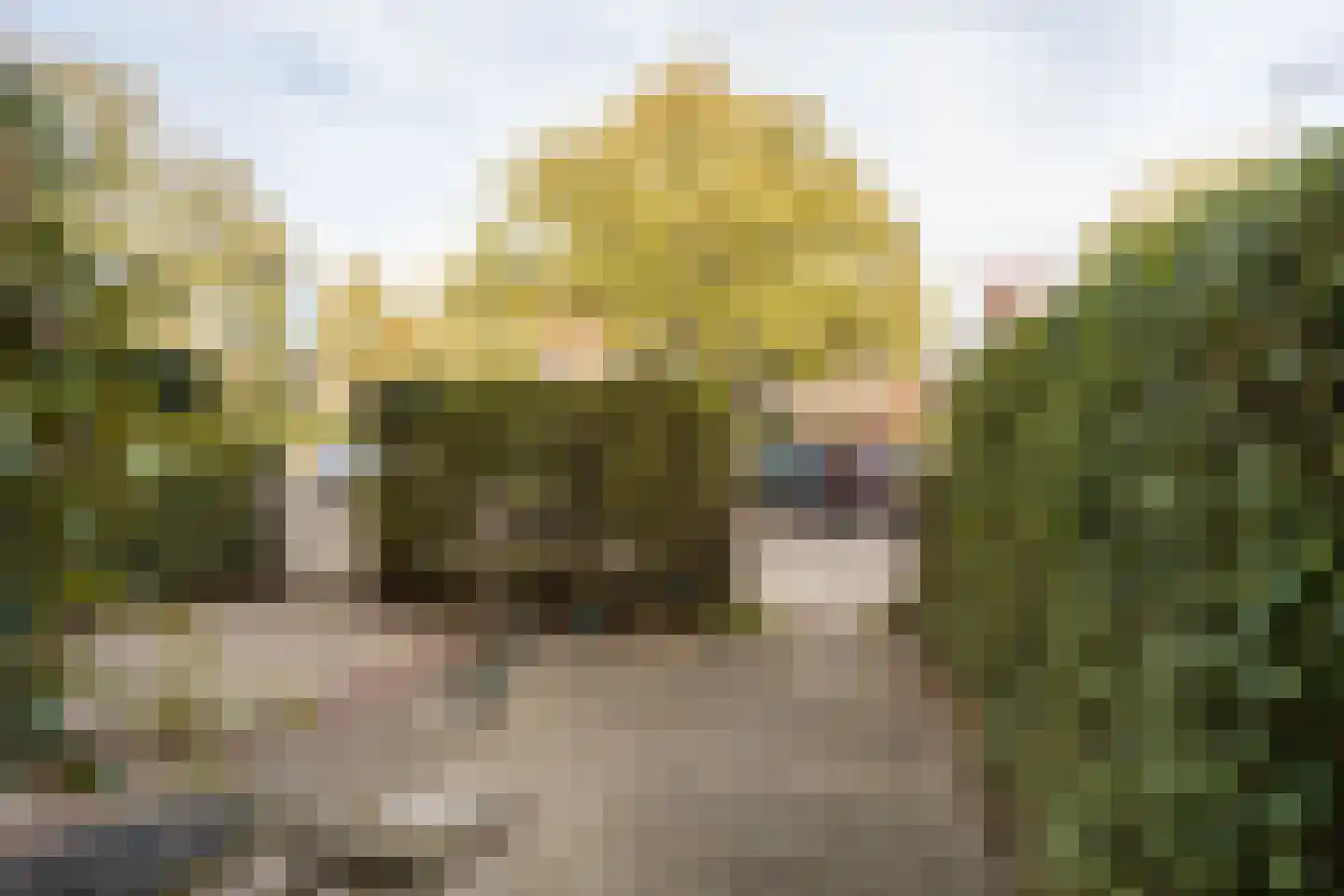 Koningin Wilhelminalaan 462 Voorburg thumbnail 30