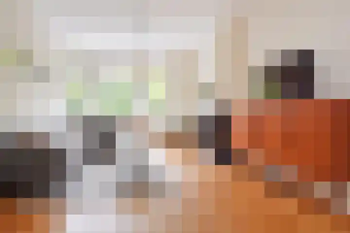 Koningin Wilhelminalaan 471 Voorburg thumbnail 19