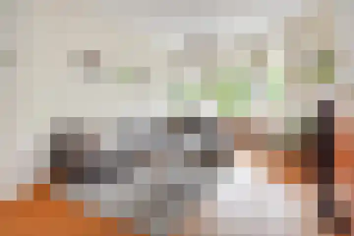 Koningin Wilhelminalaan 471 Voorburg thumbnail 20