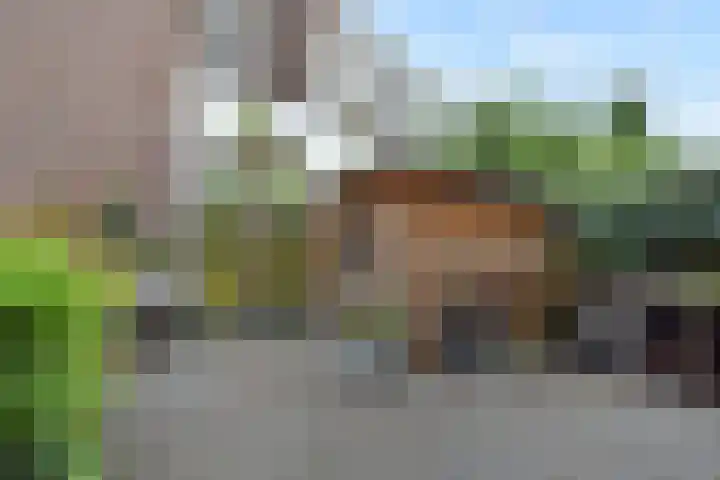 Koningin Wilhelminalaan 471 Voorburg thumbnail 36