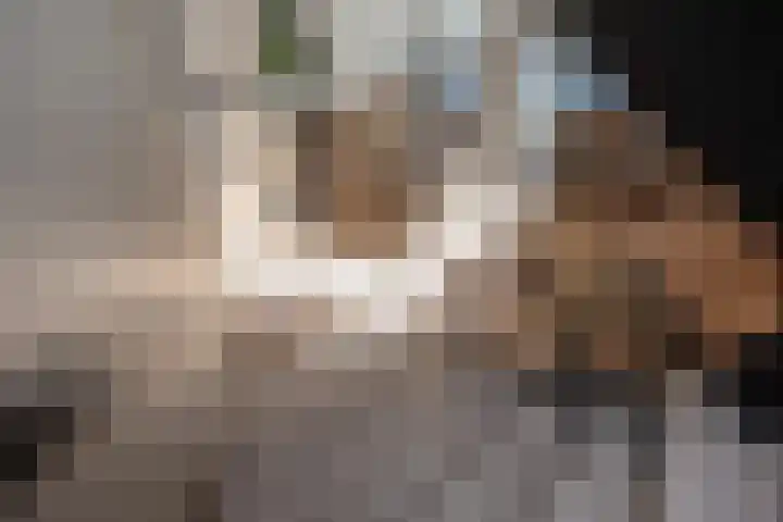 Koningin Wilhelminalaan 483 A Voorburg thumbnail 22