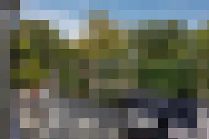 Koningin Wilhelminalaan 483 A Voorburg thumbnail 39