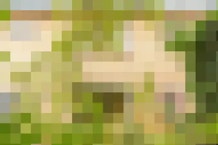 Koningin Wilhelminalaan 5 Kesteren thumbnail 4