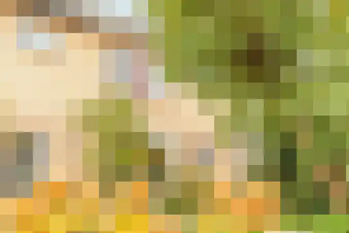 Koningin Wilhelminalaan 5 Kesteren thumbnail 5