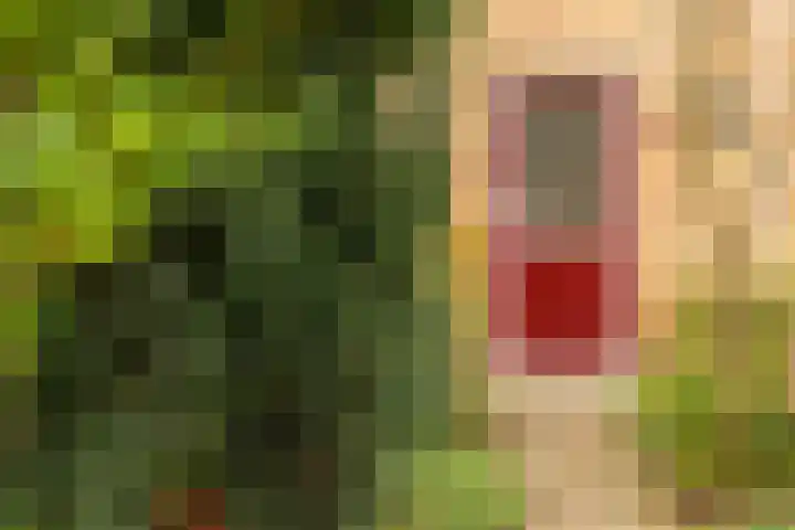 Koningin Wilhelminalaan 5 Kesteren thumbnail 7