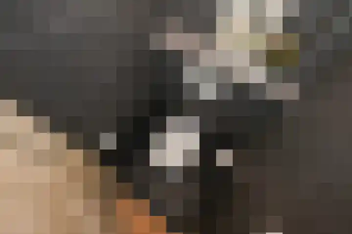 Koningin Wilhelminalaan 506 B Voorburg thumbnail 32