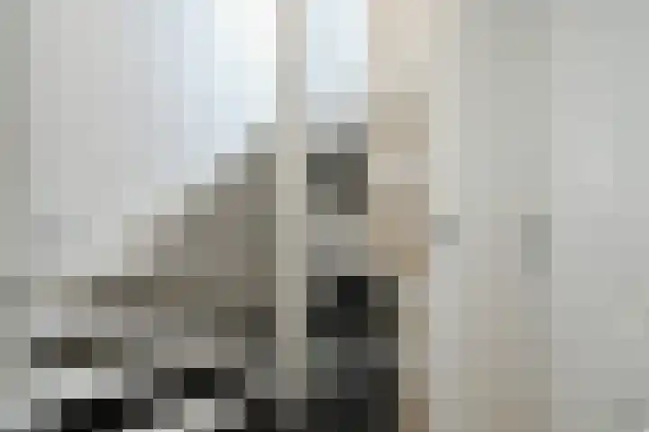 Koningin Wilhelminalaan 506 B Voorburg thumbnail 39