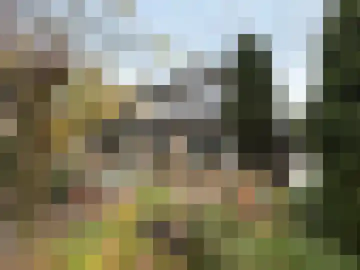 Koningin-Wilhelminalaan 52 Leersum thumbnail 16