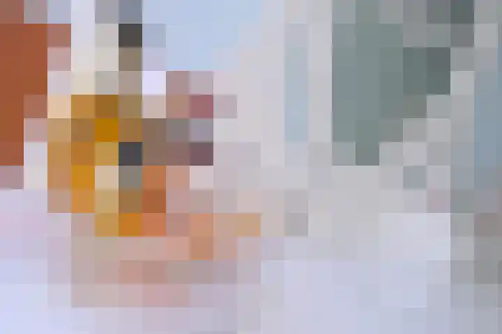 Koningin Wilhelminalaan 57 Deventer thumbnail 9