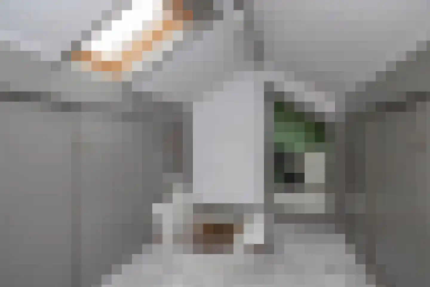 Koningin Wilhelminalaan 6 Leusden thumbnail 43