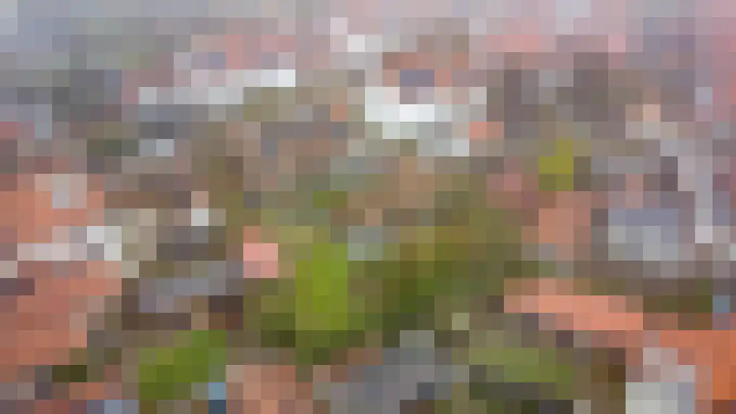Koningin Wilhelminalaan 6 Leusden thumbnail 59
