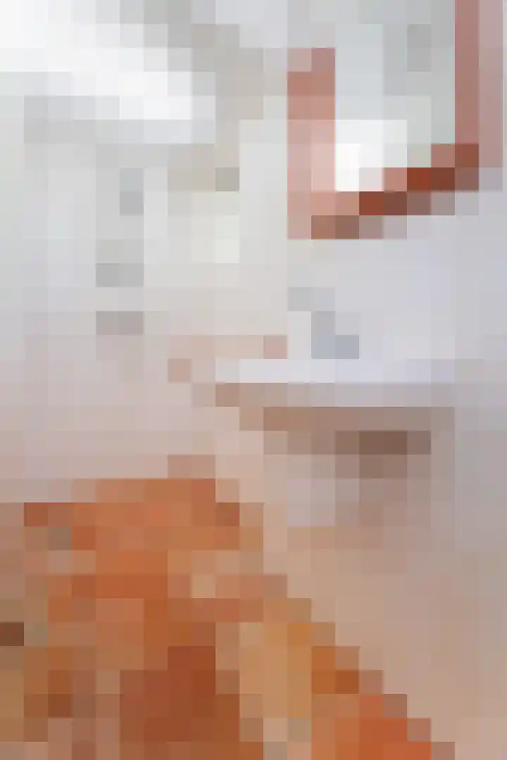 Koningin Wilhelminalaan 6 Wezep thumbnail 11