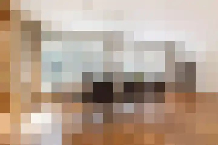 Koningin Wilhelminalaan 6 Wezep thumbnail 19