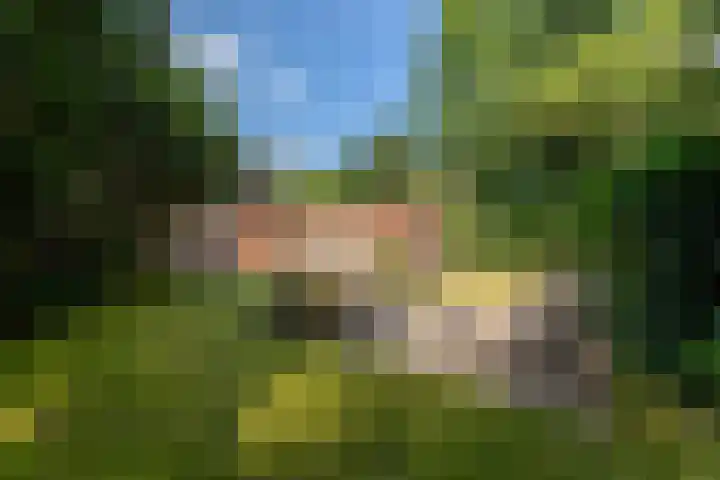 Koningin Wilhelminalaan 6 Wezep thumbnail 4