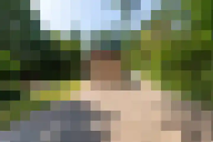 Koningin Wilhelminalaan 6 Wezep thumbnail 43