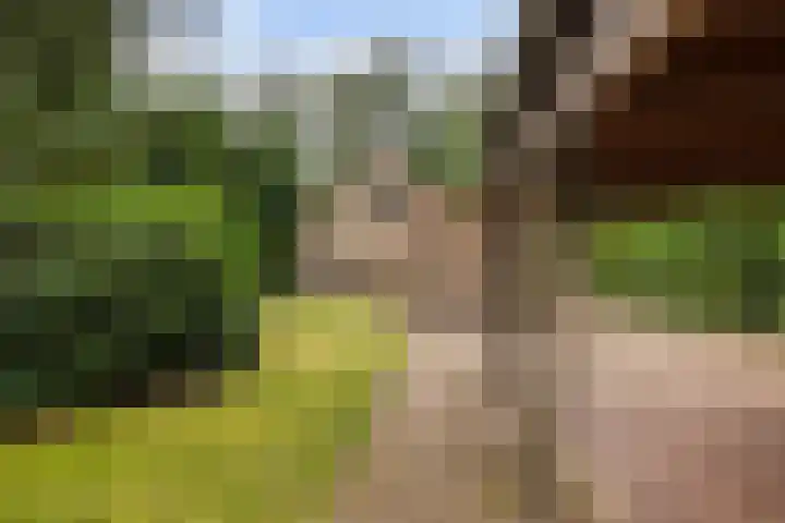 Koningin Wilhelminalaan 6 Wezep thumbnail 45
