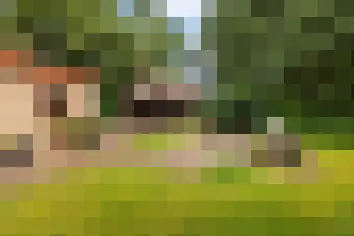 Koningin Wilhelminalaan 6 Wezep thumbnail 47