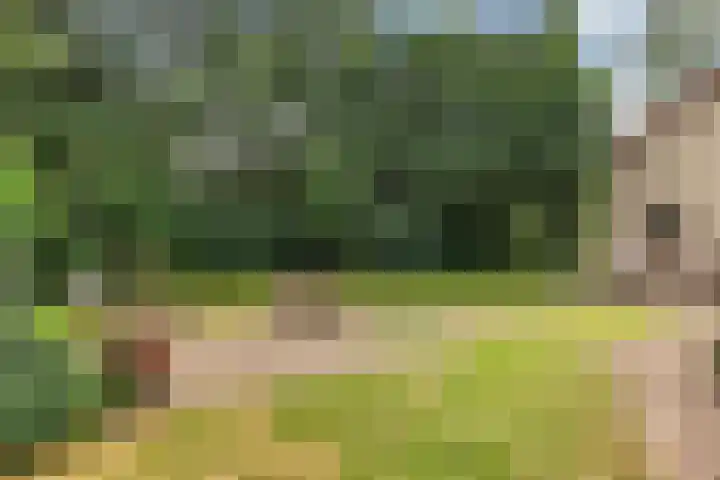 Koningin Wilhelminalaan 6 Wezep thumbnail 48