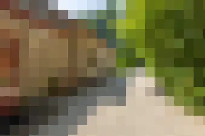 Koningin Wilhelminalaan 6 Wezep thumbnail 5