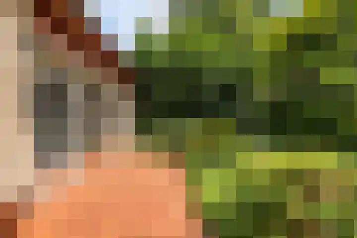 Koningin Wilhelminalaan 6 Wezep thumbnail 50