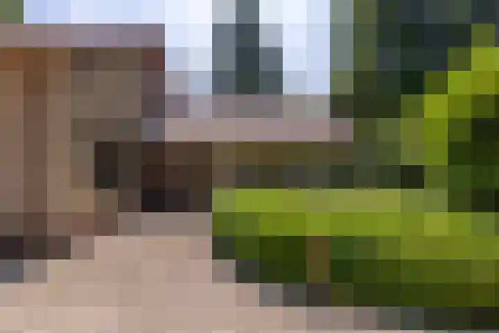 Koningin Wilhelminalaan 6 Wezep thumbnail 6