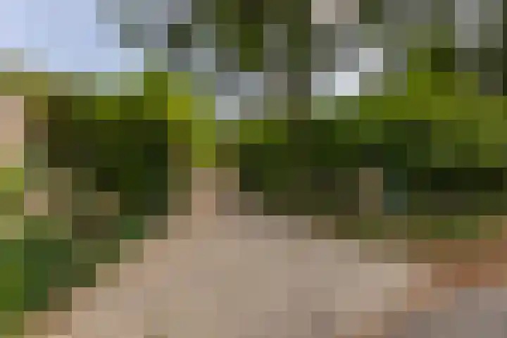 Koningin Wilhelminalaan 6 Wezep thumbnail 63