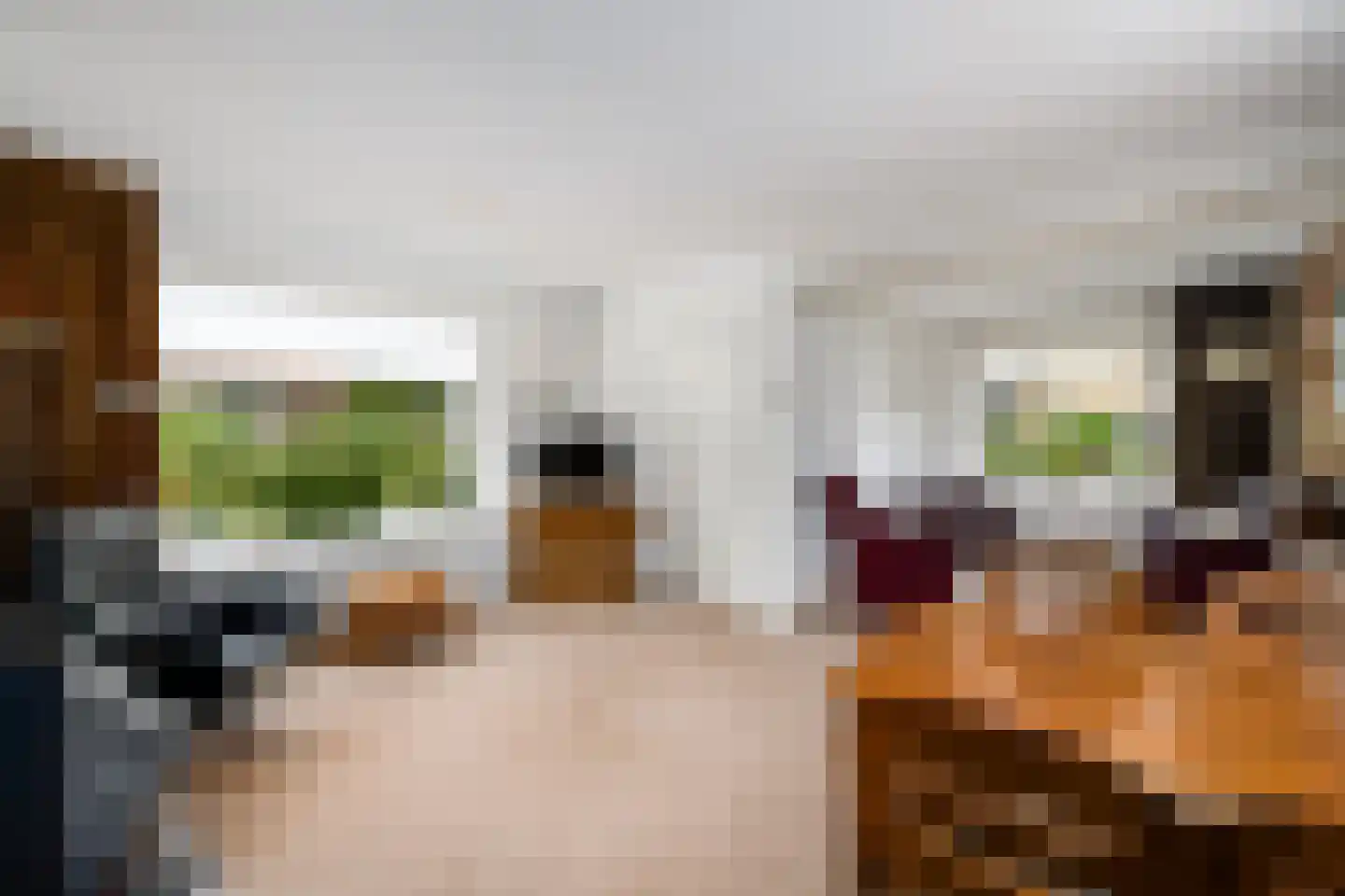 Koningin Wilhelminalaan 6 Willemsoord thumbnail 4