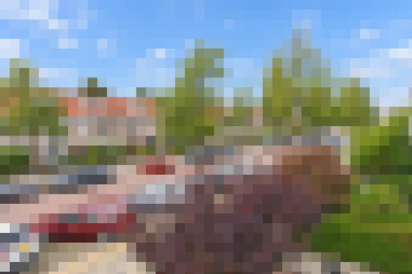 Koningin Wilhelminalaan 69 Voorburg thumbnail 19