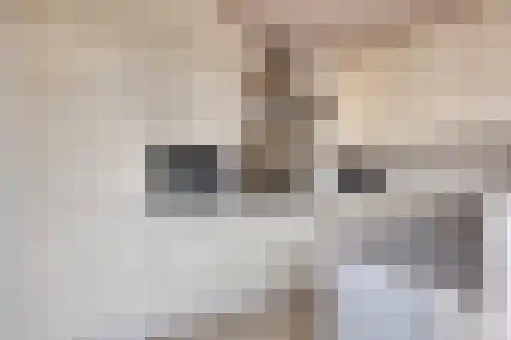 Koningin Wilhelminalaan 7 Kesteren thumbnail 10