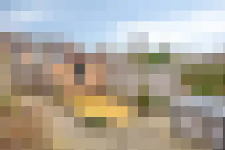 Koningin Wilhelminalaan 7 Kesteren thumbnail 25