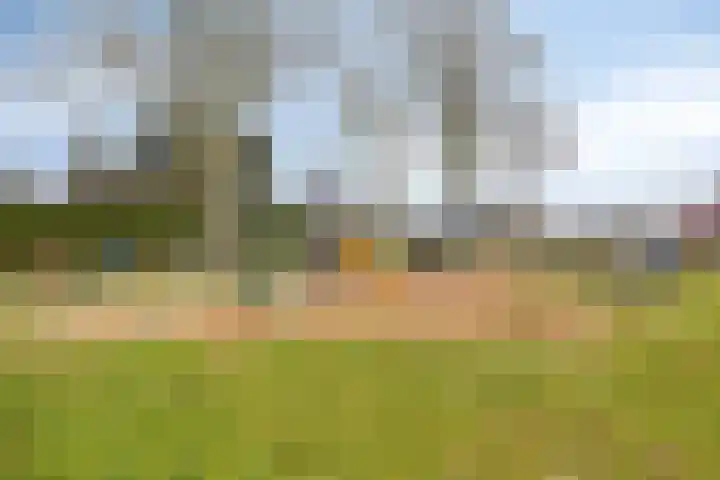 Koningin Wilhelminalaan 7 Kesteren thumbnail 28