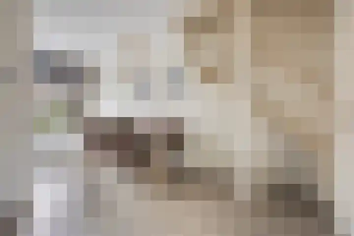 Koningin Wilhelminalaan 7 Kesteren thumbnail 6