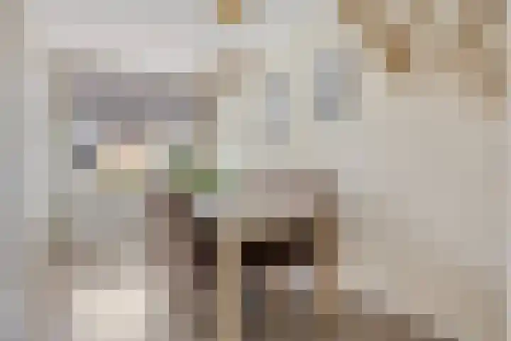 Koningin Wilhelminalaan 7 Kesteren thumbnail 8