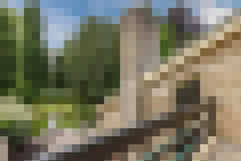 Koningin Wilhelminalaan 7 Rijnsburg thumbnail 46