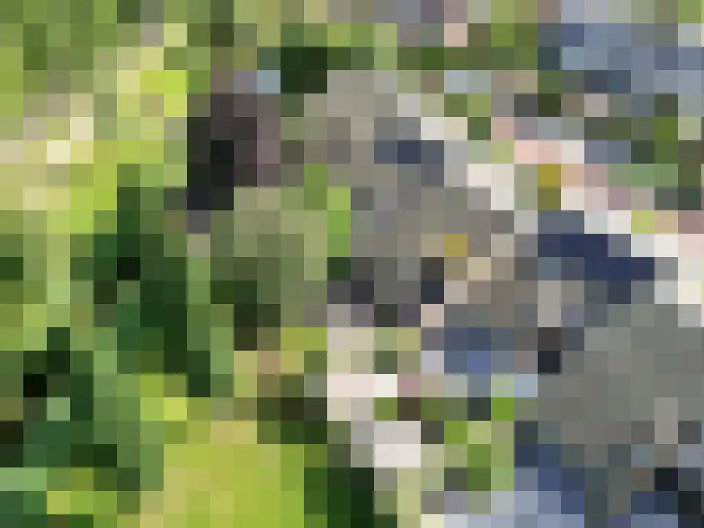 Koningin Wilhelminalaan 7 Rijnsburg thumbnail 50