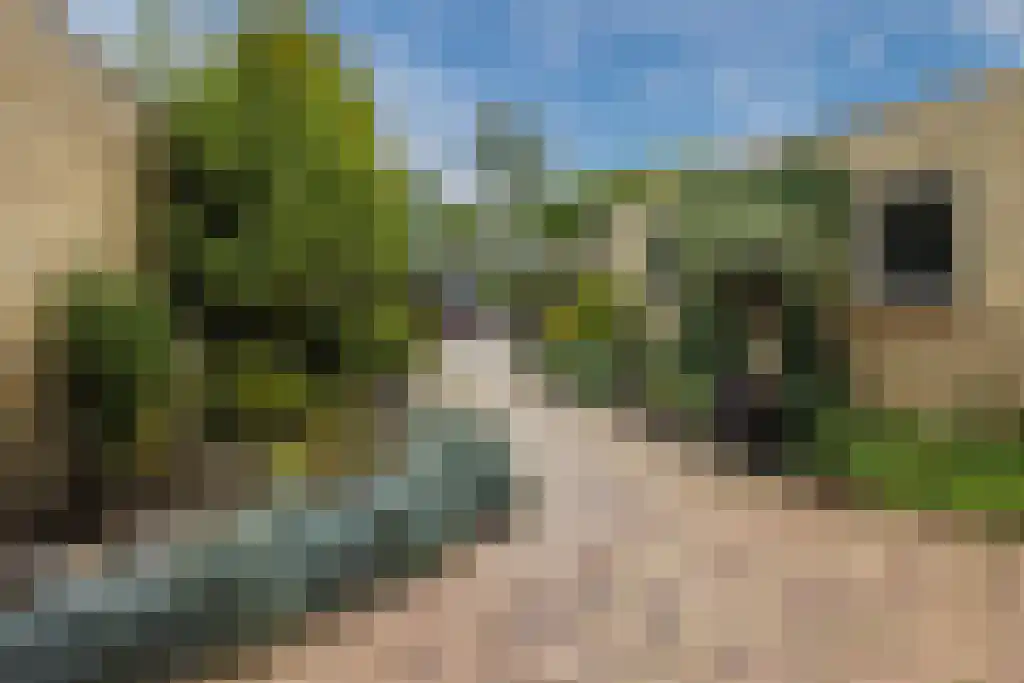 Koningin Wilhelminalaan 7 Rijnsburg thumbnail 8