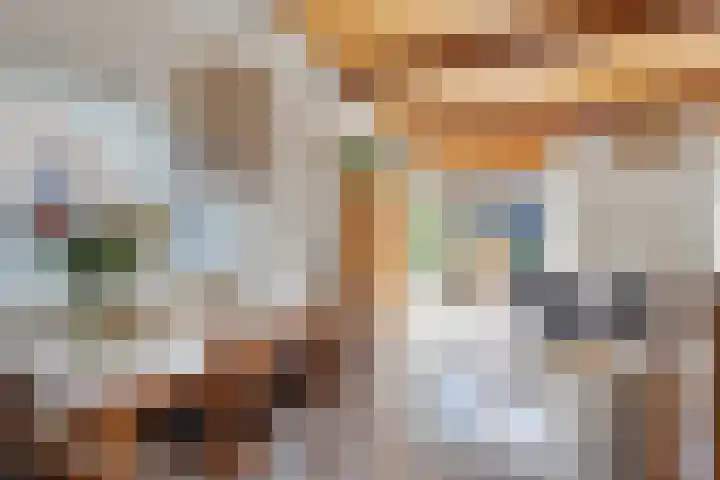 Koningin Wilhelminalaan 7 Vrouwenpolder thumbnail 14