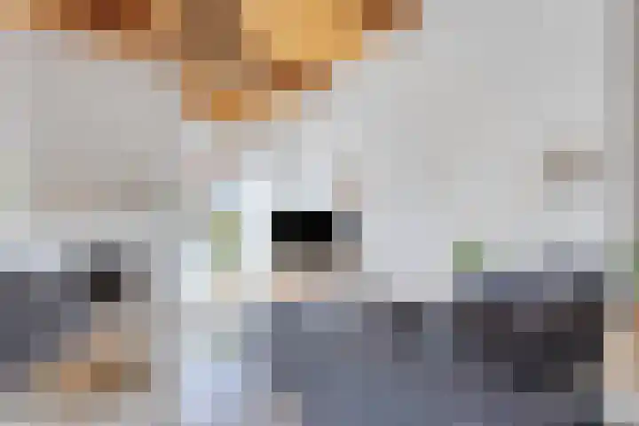 Koningin Wilhelminalaan 7 Vrouwenpolder thumbnail 16