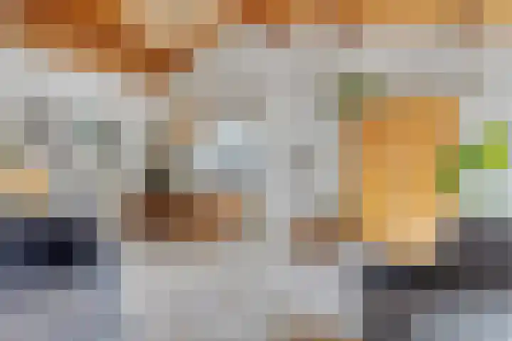 Koningin Wilhelminalaan 7 Vrouwenpolder thumbnail 17