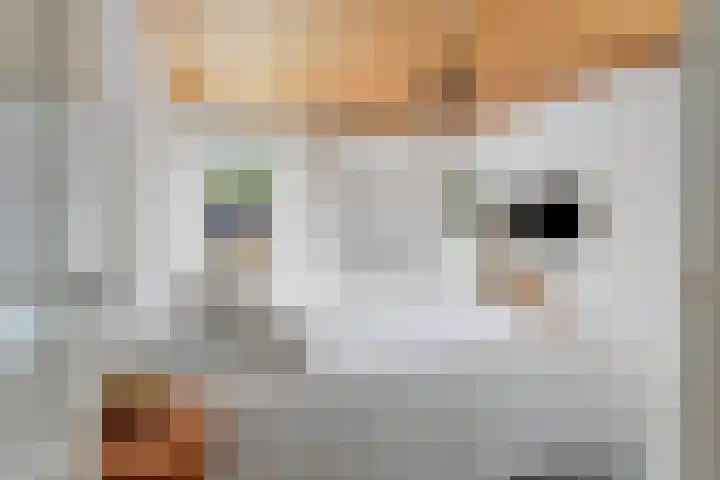 Koningin Wilhelminalaan 7 Vrouwenpolder thumbnail 19