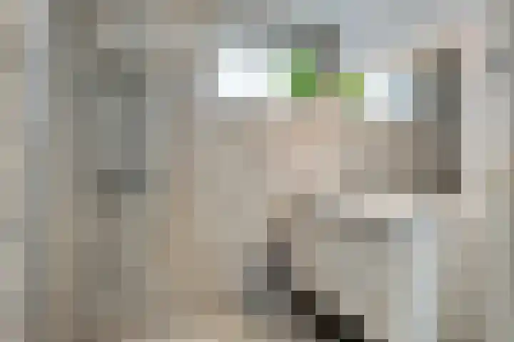 Koningin Wilhelminalaan 7 Vrouwenpolder thumbnail 21