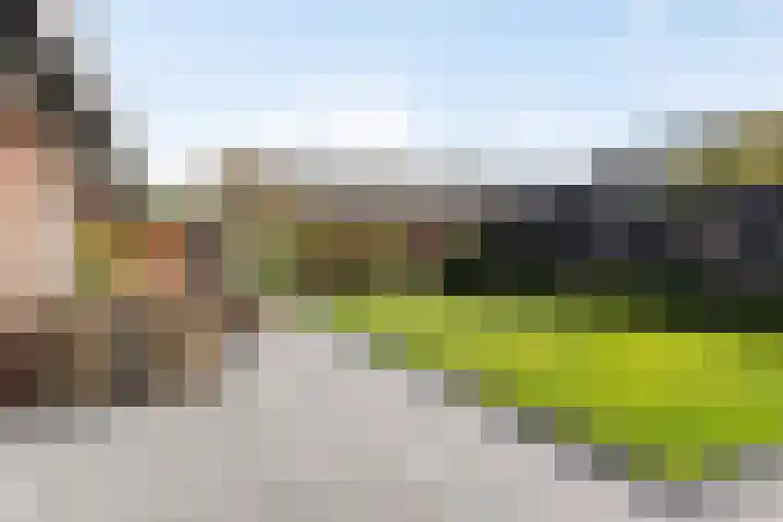 Koningin Wilhelminalaan 7 Vrouwenpolder thumbnail 25