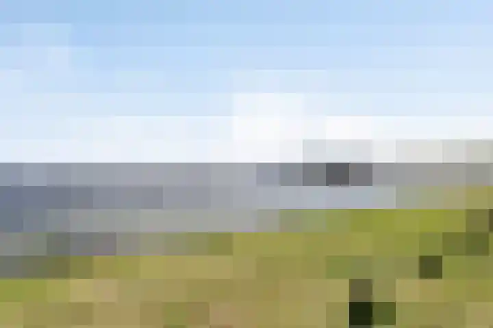 Koningin Wilhelminalaan 7 Vrouwenpolder thumbnail 32