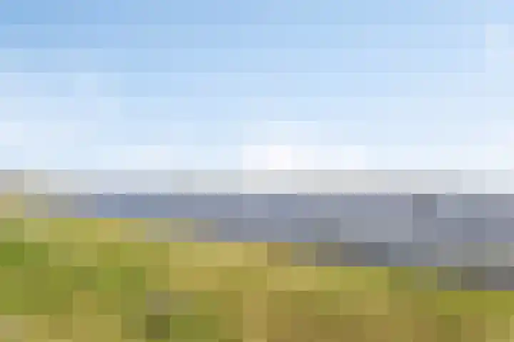 Koningin Wilhelminalaan 7 Vrouwenpolder thumbnail 33