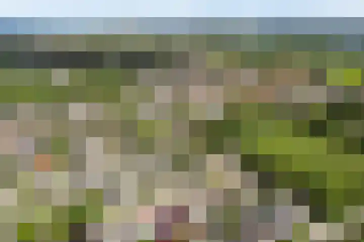 Koningin Wilhelminalaan 7 Vrouwenpolder thumbnail 4